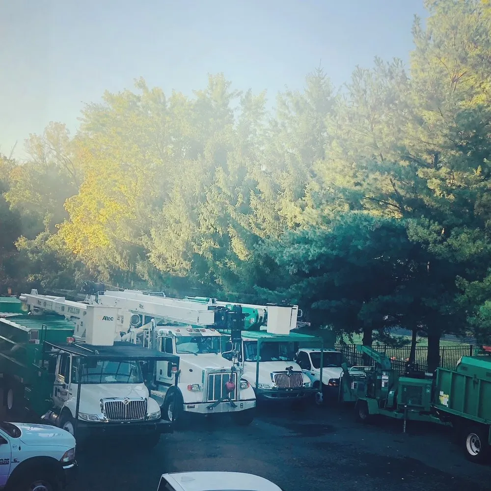 Expert outdoor landscaping experts serving Hatboro, PA - Willow Tree & Landscape Services