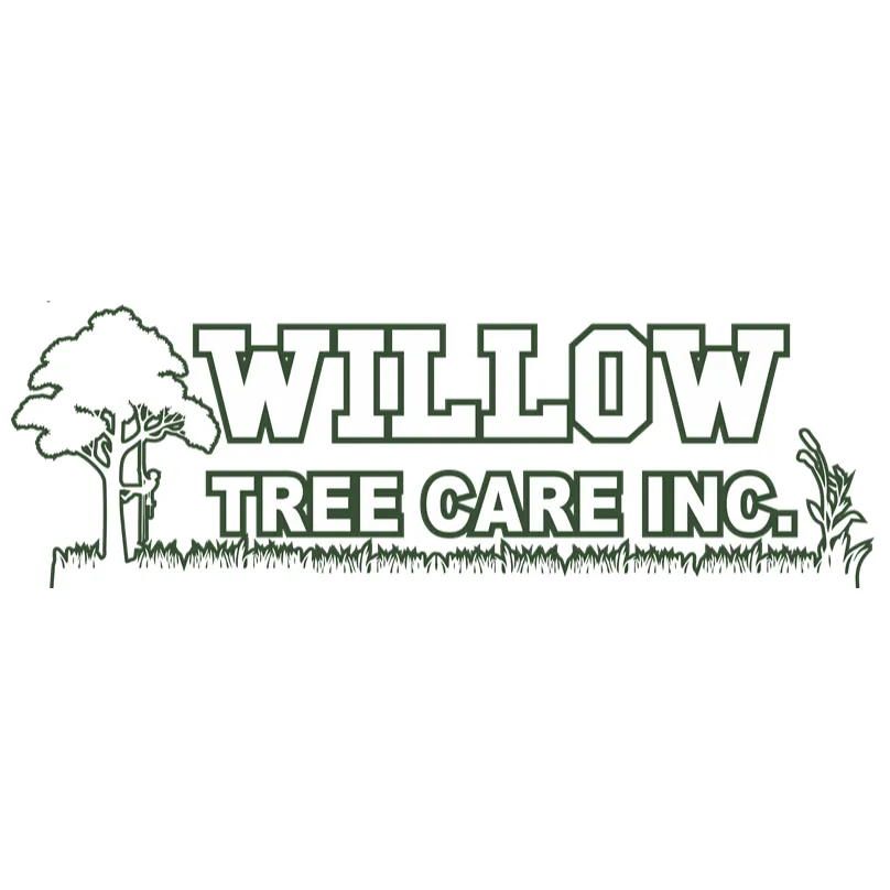 Reliable lawn mowing service near you in Warrenville, IL by Willow Tree Care