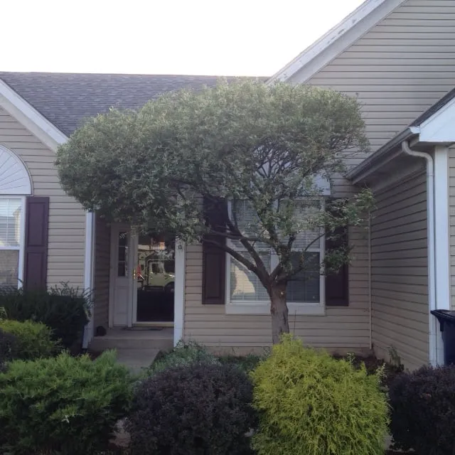 Affordable landscape installation in Warrenville, IL - Willow Tree Care