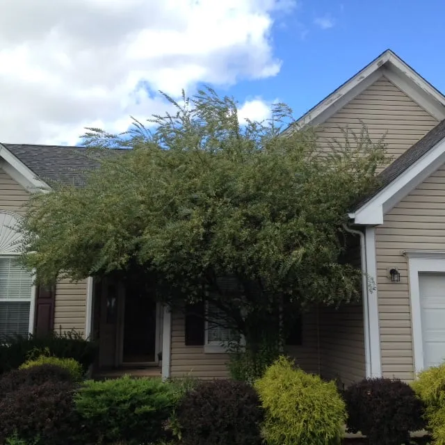 Reliable landscape design for residential properties across Warrenville, IL - Willow Tree Care