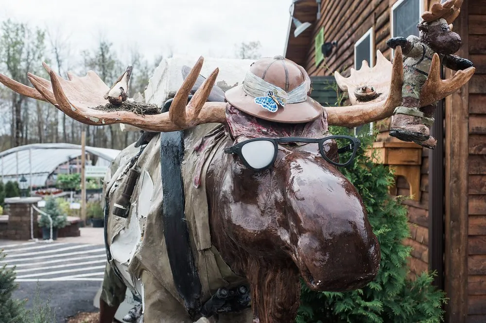 Professional lawn mowing service in Potsdam, NY - Willow Tree Florist & Landscaping