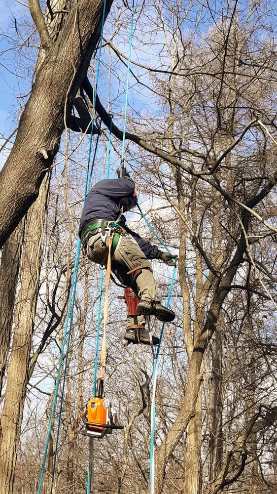 Reliable yard cleanup service in Peekskill, NY - Willow Tree Landscaping & Masonry