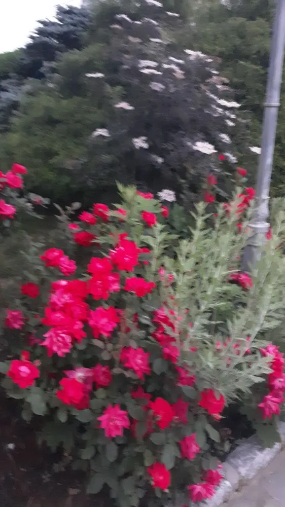 Affordable landscape installation with custom design across Peekskill, NY - Willow Tree Landscaping & Masonry