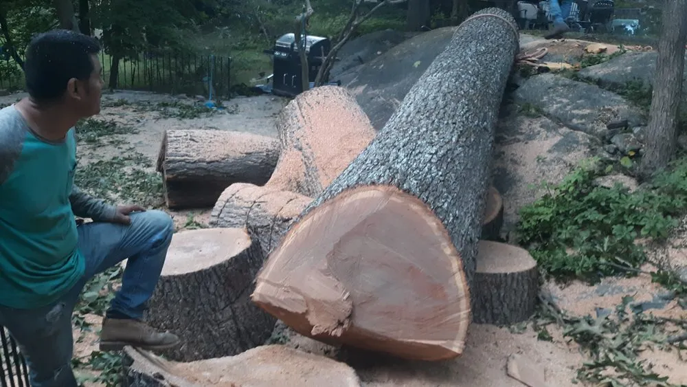 Custom lawn care service experts serving Peekskill, NY - Willow Tree Landscaping & Masonry