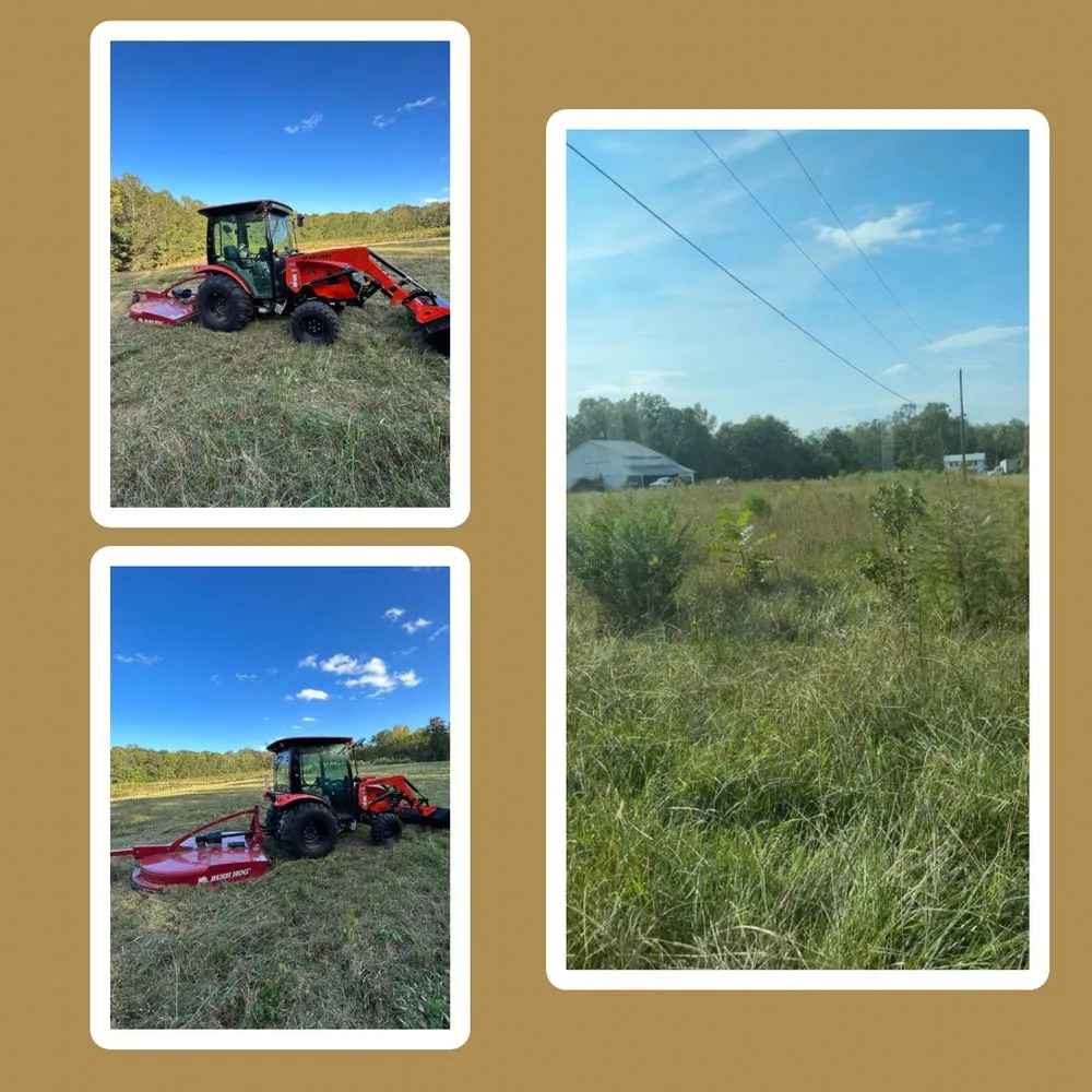 Custom landscaping services for residential properties across Graham, NC - Willow Tree Lawn Care