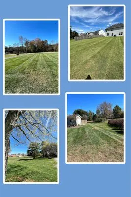 Willow Tree Lawn Care Logo