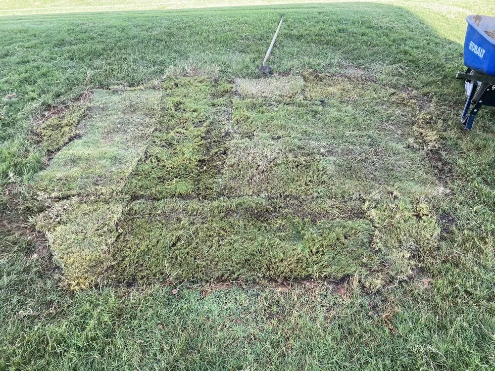 Affordable landscape installation for beautiful yards across Taylors, SC - Willow Valley landscaping and pressure wash