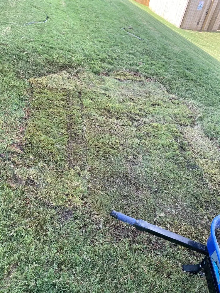 Local residential landscaping for outdoor upgrades in Taylors, SC by Willow Valley landscaping and pressure wash