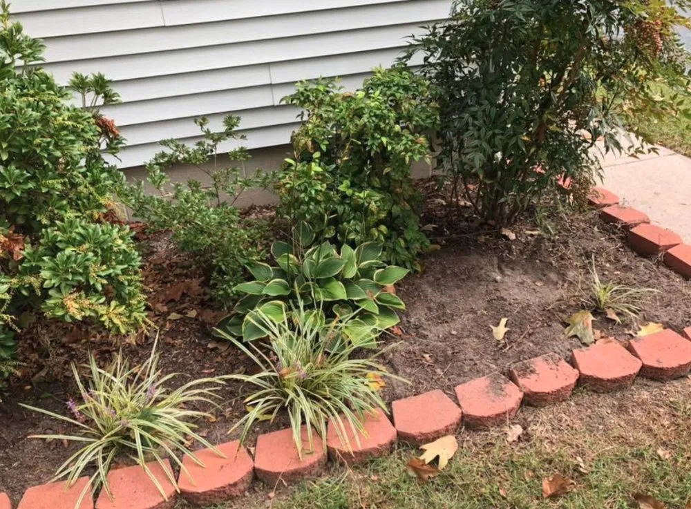 Expert yard cleanup service in Berlin, MD - Willow’s Concrete & Landscaping