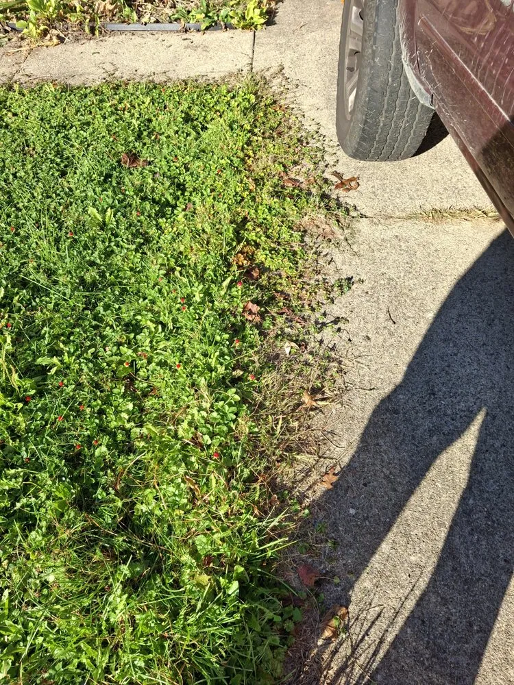 Top-rated landscape installation for homes in New Middletown, OH by Willows Green Service