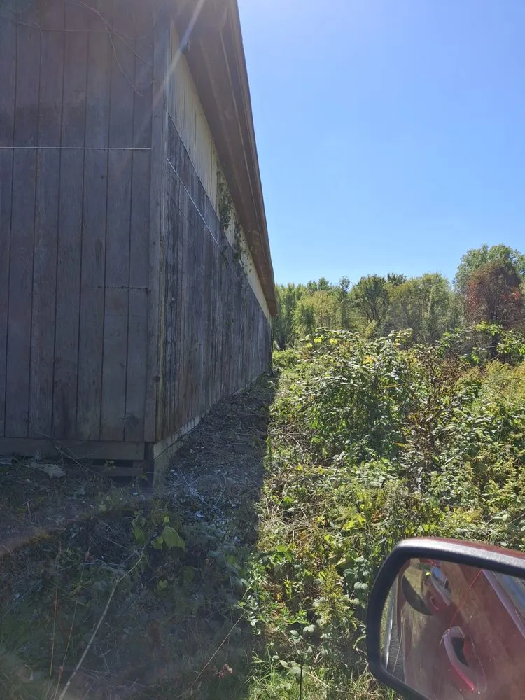 Affordable yard cleanup service near you in New Middletown, OH by Willows Green Service