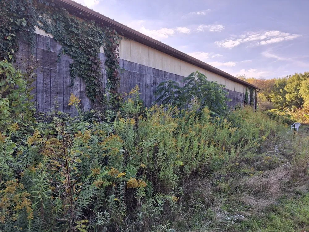 Custom landscape design in New Middletown, OH by Willows Green Service