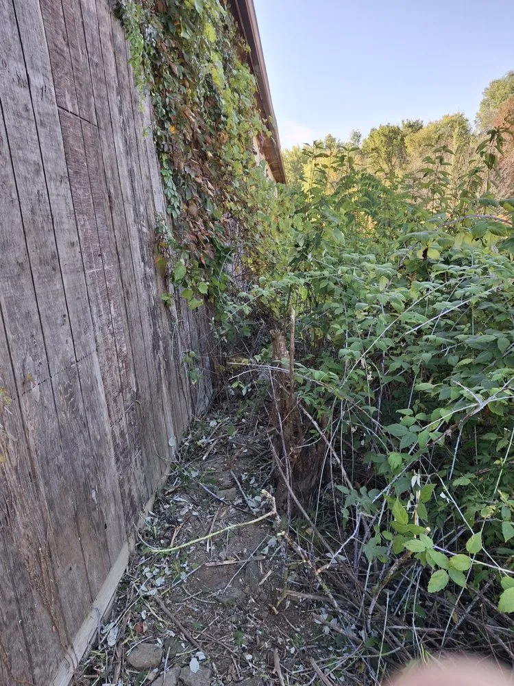 Professional outdoor landscaping experts serving New Middletown, OH - Willows Green Service