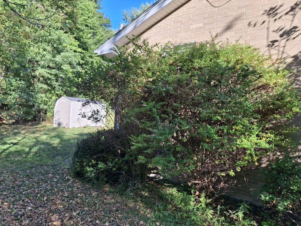 Local landscape installation in New Middletown, OH by Willows Green Service