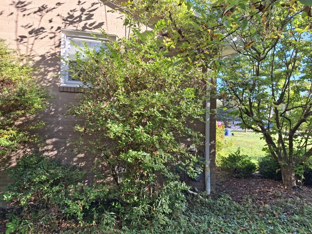 Affordable residential landscaping for beautiful yards in New Middletown, OH by Willows Green Service