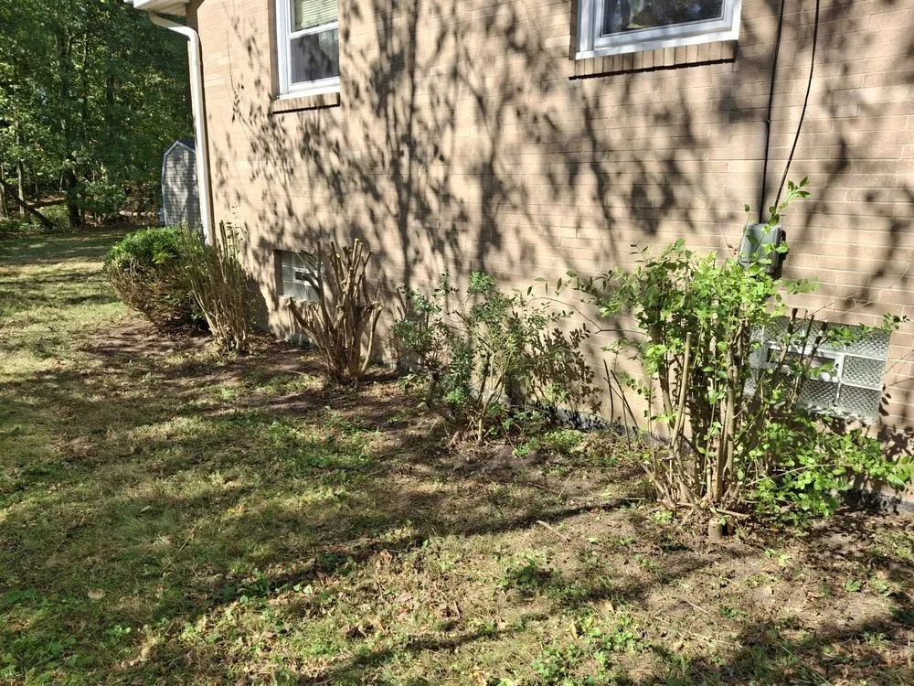 Trusted garden landscaping in New Middletown, OH - Willows Green Service