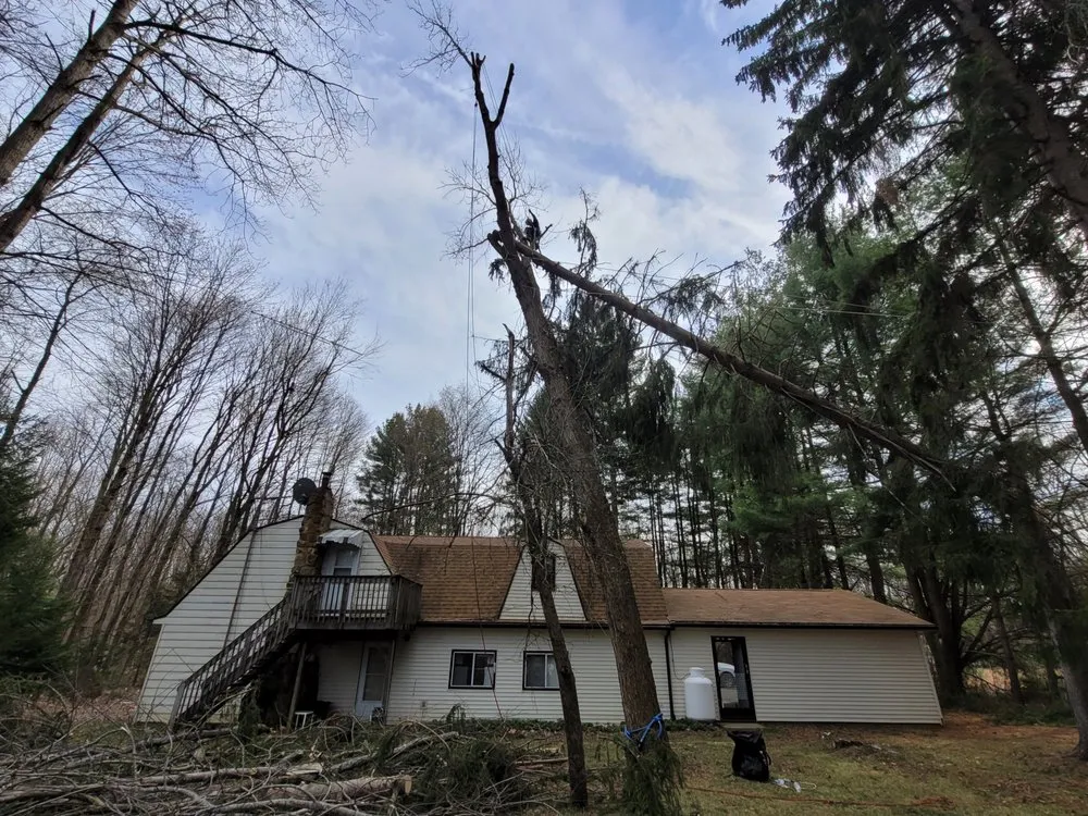 Affordable yard cleanup service for residential properties in Utica, PA by Wills Certified Tree Care