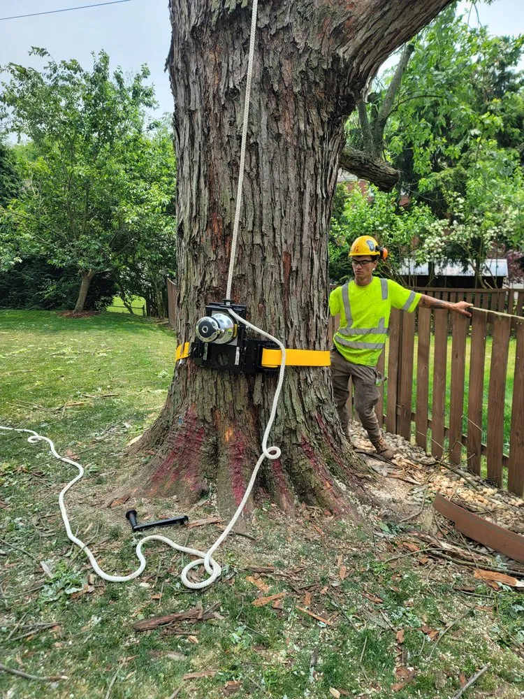 Reliable yard maintenance with custom design across Utica, PA - Wills Certified Tree Care