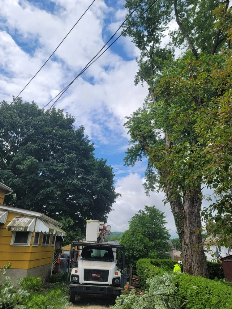 Trusted lawn mowing service in Utica, PA - Wills Certified Tree Care