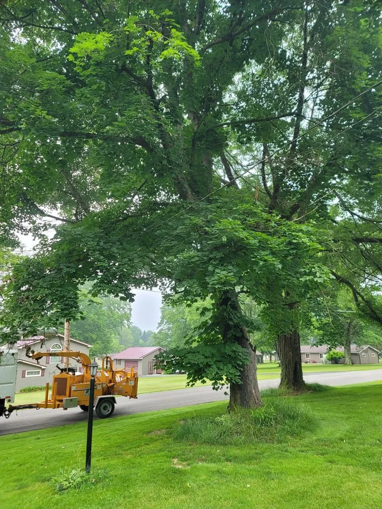 Top-rated lawn care service in Utica, PA - Wills Certified Tree Care
