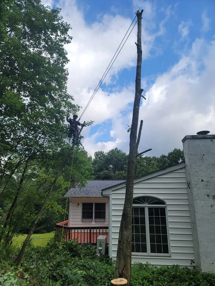 Custom landscape installation for residential properties across Utica, PA - Wills Certified Tree Care