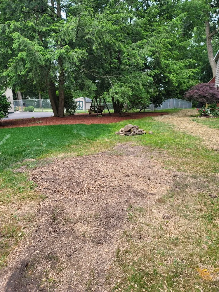 Expert yard maintenance for beautiful yards in Utica, PA by Wills Certified Tree Care