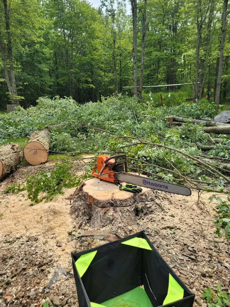 Expert residential landscaping in Utica, PA by Wills Certified Tree Care