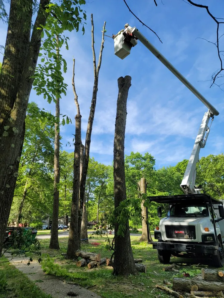 Professional landscape design experts serving Utica, PA - Wills Certified Tree Care