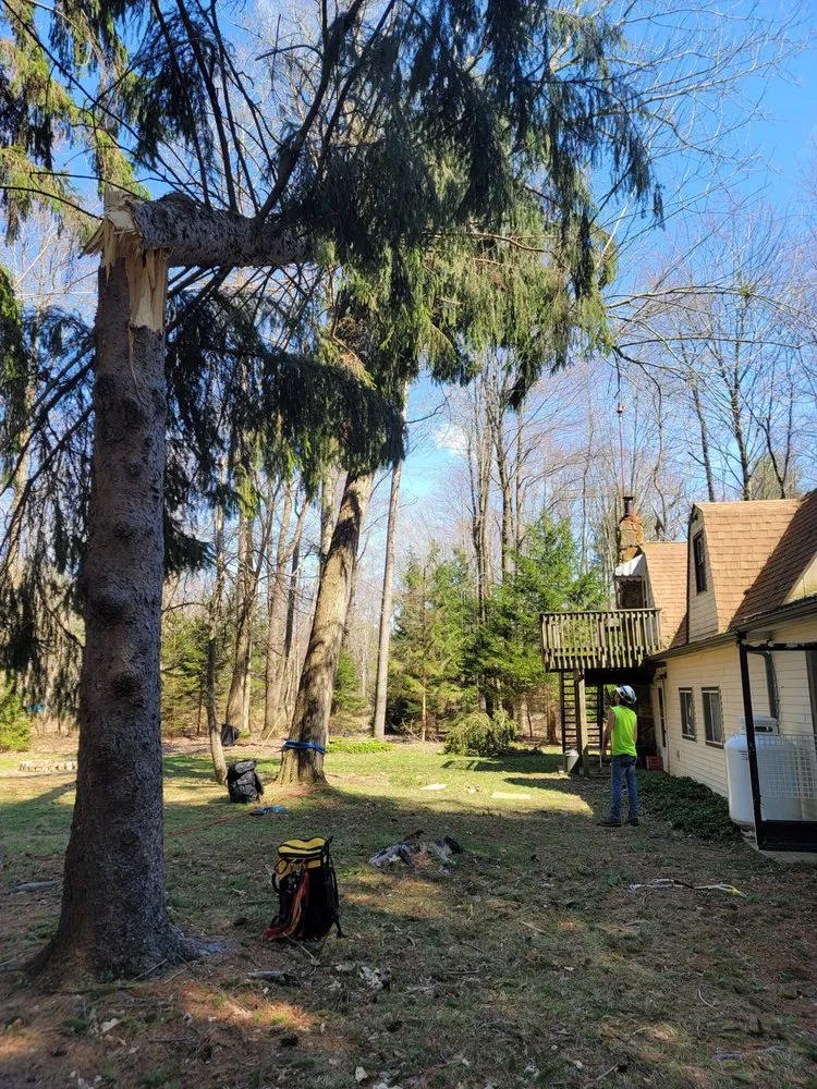 Professional residential landscaping for beautiful yards across Utica, PA - Wills Certified Tree Care