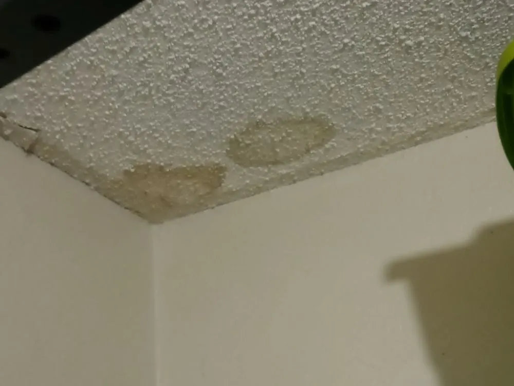 Reliable outdoor landscaping in Tulsa, OK by Will's handyman