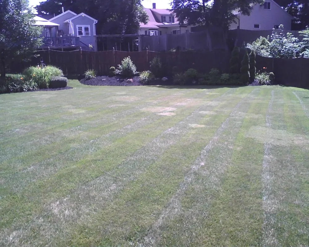 Local landscape installation experts serving Brockton, MA - Will's Home Maintenance
