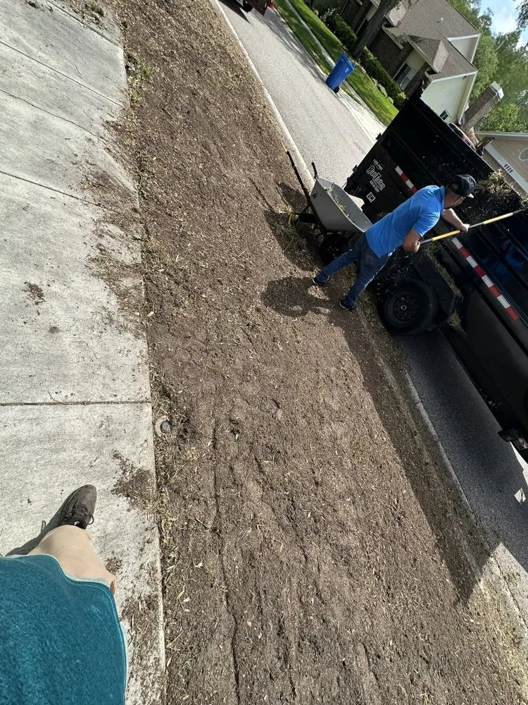 Local landscape design near you across Tampa, FL - Wills I Am Landscaping