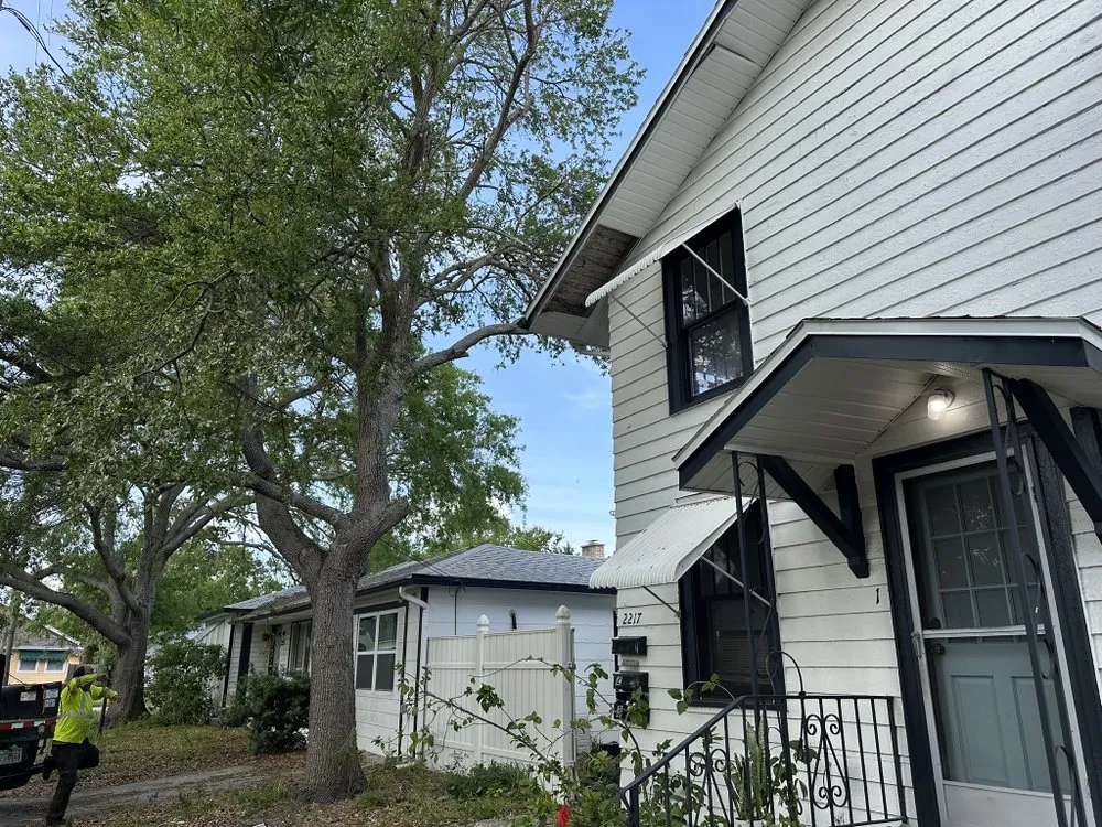 Expert landscape design in Tampa, FL by Wills I Am Landscaping