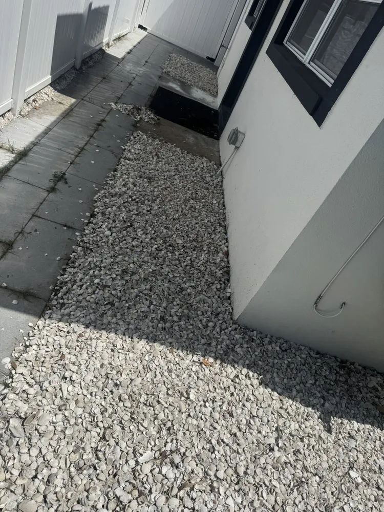 Custom yard cleanup service for beautiful yards across Tampa, FL - Wills I Am Landscaping