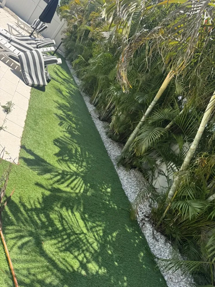 Trusted lawn care service for year-round maintenance across Tampa, FL - Wills I Am Landscaping