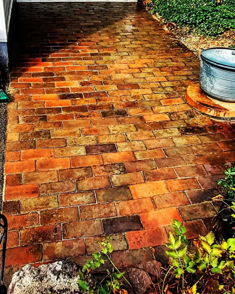 Reliable yard cleanup service for beautiful yards in Vergennes, VT by Wills Landcare