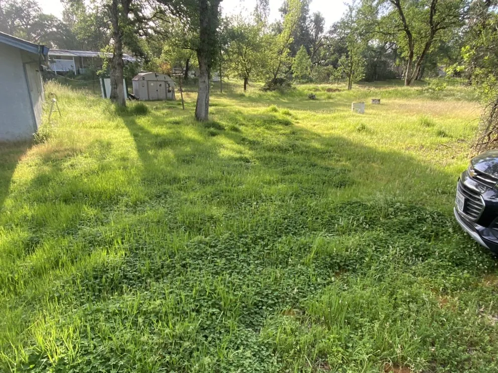 Local lawn care service in Redding, CA by Will’s Landscaping And Handyman Service