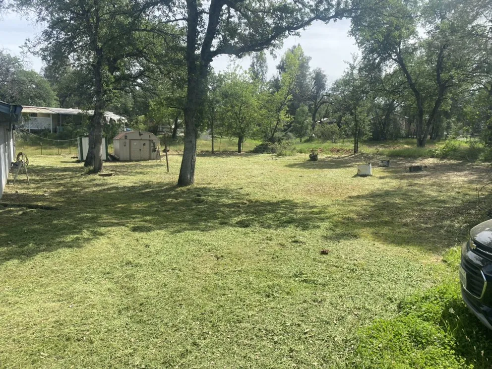 Affordable landscaping services in Redding, CA by Will’s Landscaping And Handyman Service