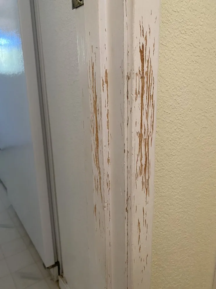 Local landscape installation experts serving Redding, CA - Will’s Landscaping And Handyman Service