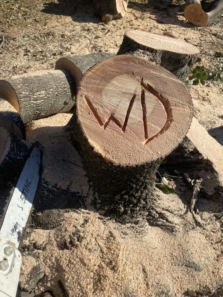 Custom lawn care service for homes across Redding, CA - Will’s Landscaping And Handyman Service