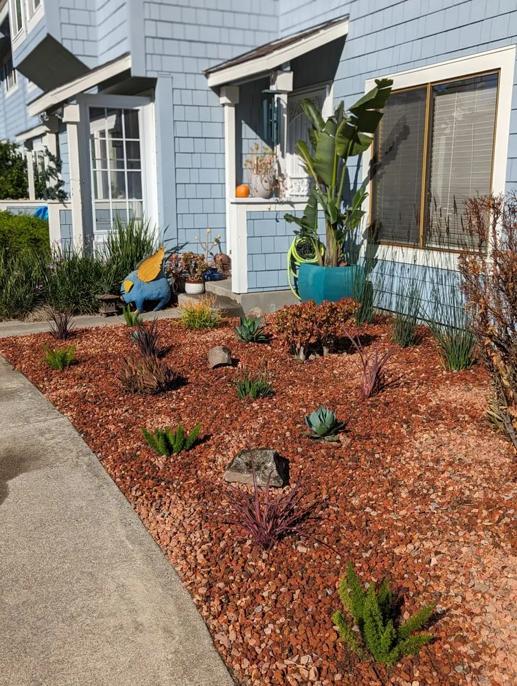 Professional landscaping services in Novato, CA by Will's Landscaping