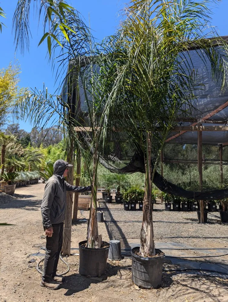 Professional residential landscaping in Novato, CA by Will's Landscaping