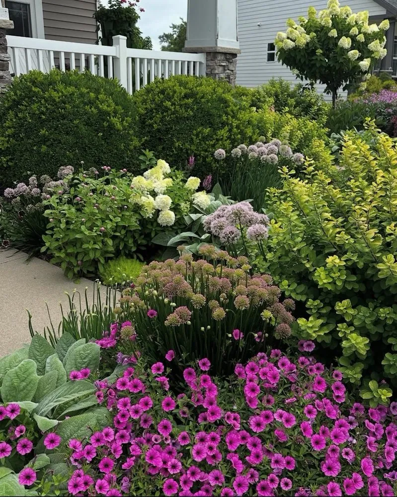 Expert lawn mowing service near you in Novato, CA by Will's Landscaping