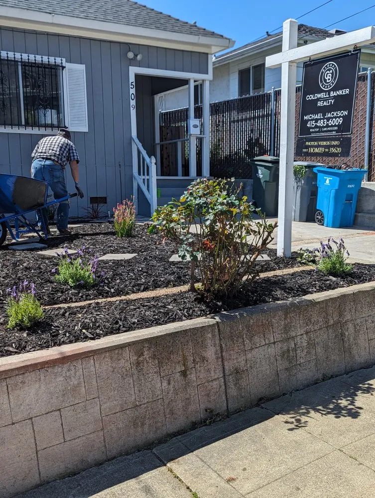 Expert outdoor landscaping in Novato, CA by Will's Landscaping