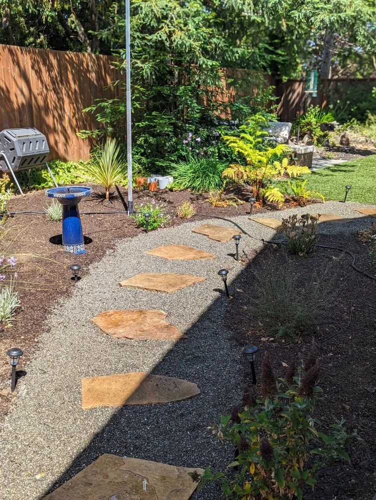 Top-rated landscape installation in Novato, CA by Will's Landscaping