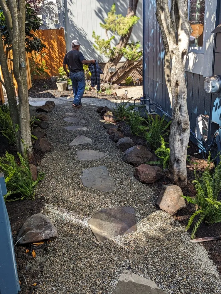 Expert yard cleanup service for beautiful yards across Novato, CA - Will's Landscaping