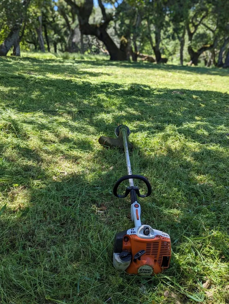 Affordable garden landscaping in Novato, CA - Will's Landscaping