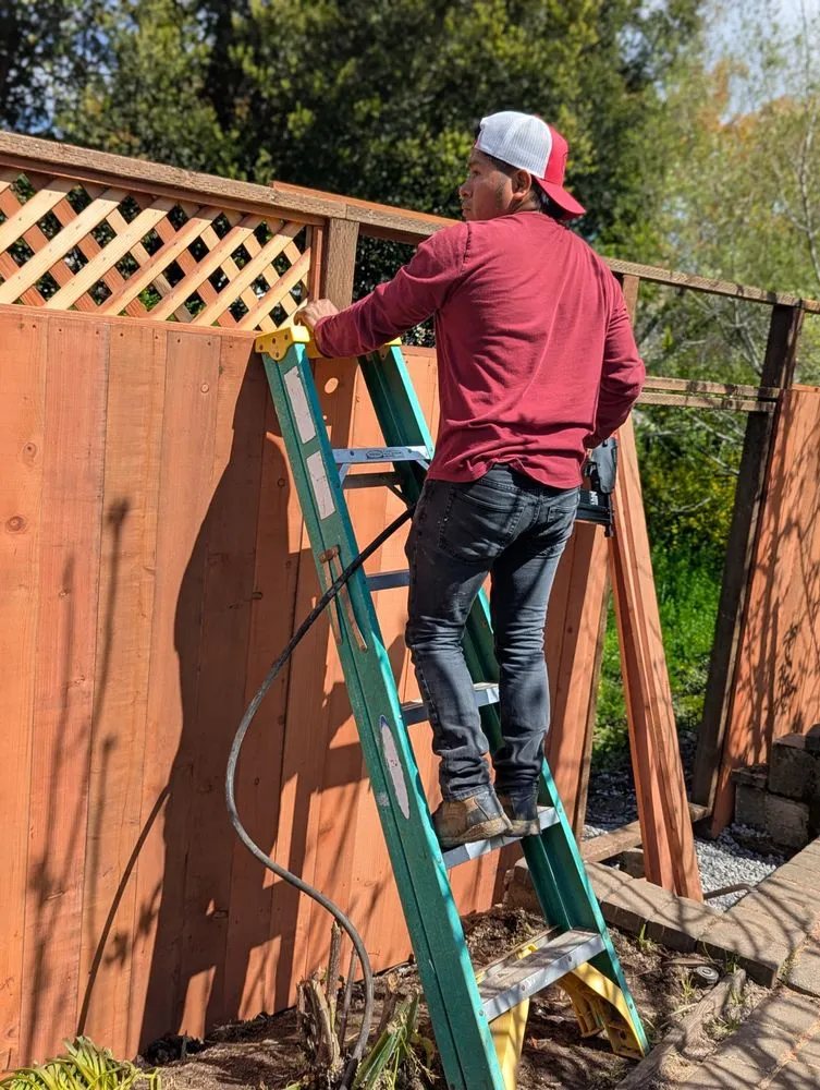 Professional landscape installation for outdoor upgrades across Novato, CA - Will's Landscaping