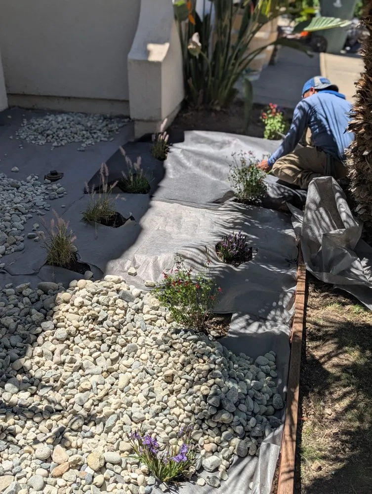 Custom outdoor landscaping with custom design in Novato, CA by Will's Landscaping