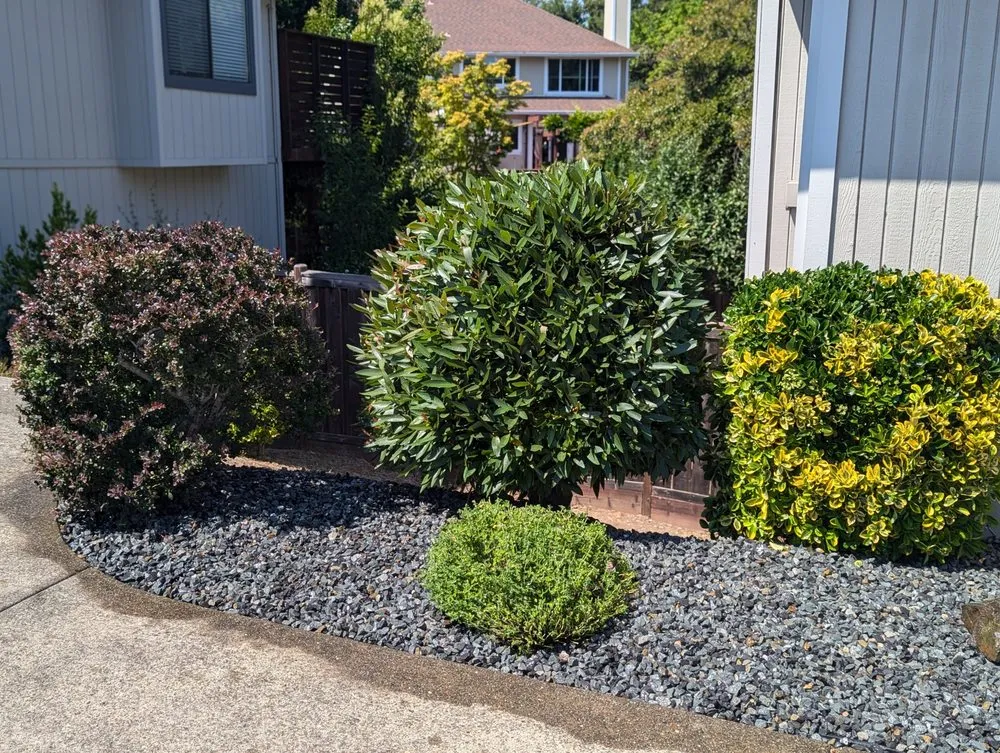 Professional residential landscaping in Novato, CA - Will's Landscaping